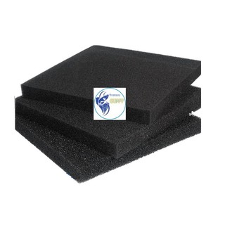 Mút đen lọc nước hồ cá