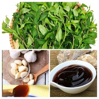 🌿 RAU LỦI XÀO DẦU HÀO - SET NGUYÊN LIỆU: Dành cho 4 người