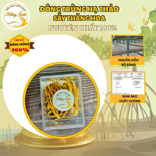 Nấm đông trùng hạ thảo khô sấy thăng hoa - Nuôi trồng 100% Organic