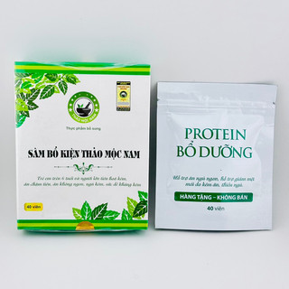 Sâm bổ kiện thảo mộc nam