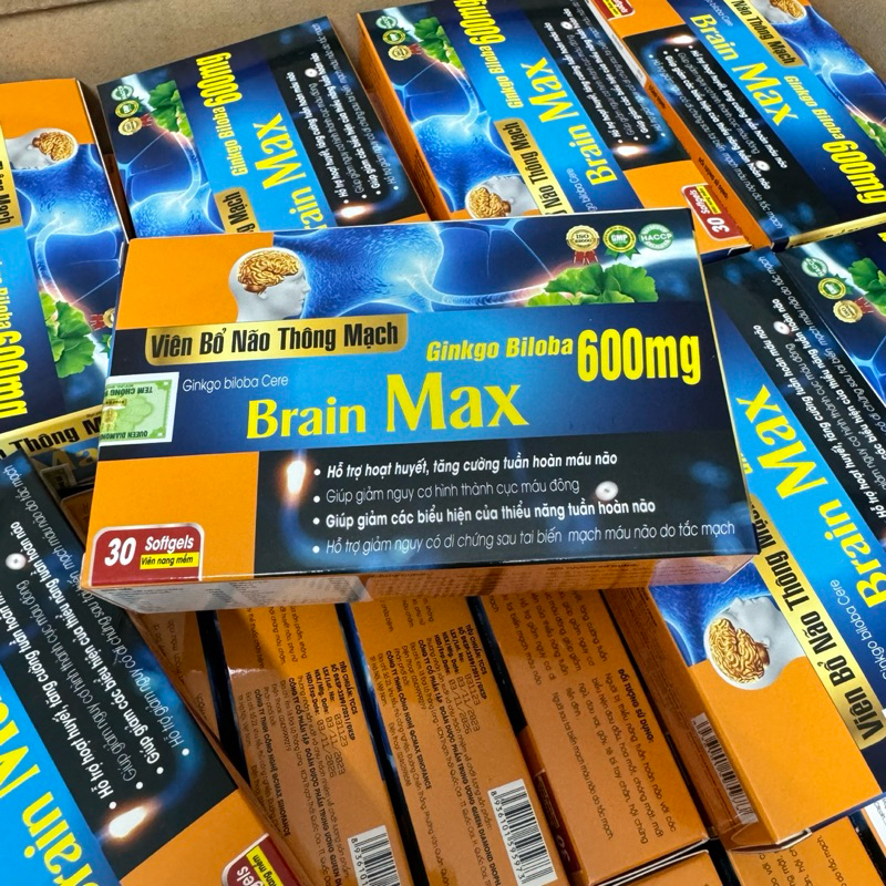 Viên bổ não thông mạch Ginkgo biloba Cere Brain Max - Ginkgo Biloba 600mg Hộp 30 viên giúp hoạt huyết dưỡng não