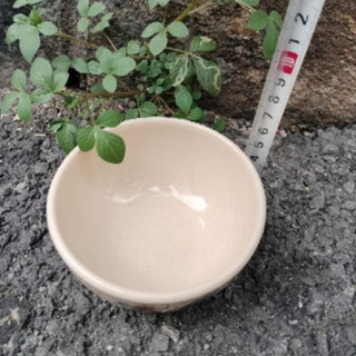 🥰😘Combo 5 Chén Soup Vẽ 🐓Con Gà Nhỏ (Chén nhỏ cỡ chén chè 10cm)🐣🐥