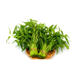 Hạt giống rau muống lá tre 666 thuận điền bamboo gói 1kg