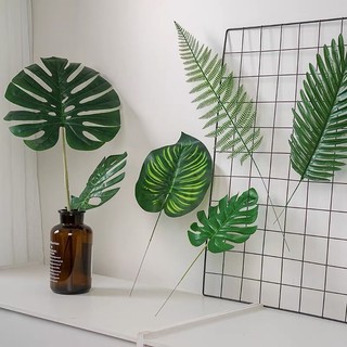 Cành lá rùa , lá dừa ,lá cọ decor