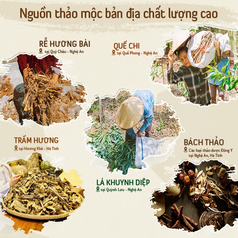 Nhang thơm sạch tinh khiết An An - 100 nén Hương quế, khuynh diệp, trầm hương, Bài, bách thảo 30cm, 40cm đuổi muỗi