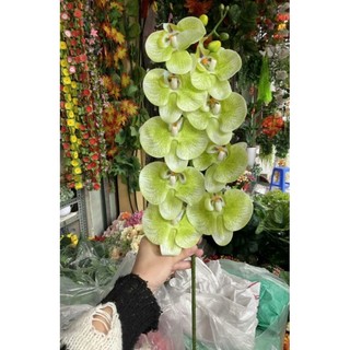 Hoa giả - Cành lan hồ điệp cao su 9 bông