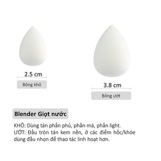 Set Bông Nền Vacosi Blender Mini PH05-02