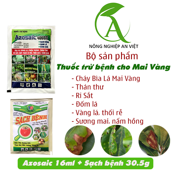 Cháy Bìa Lá Mai Vàng, rỉ sắt, thán thư, đốm lá. Bộ sản phẩm thuốc trừ bệnh trên Mai Vàng Azo16 + Sạc