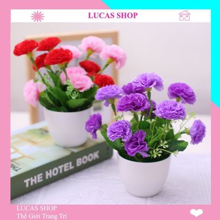 Hoa giả - Cụm hoa phăng cao cấp 40cm 10 nhánh trang trí nhà cửa, cửa tiệm,...
