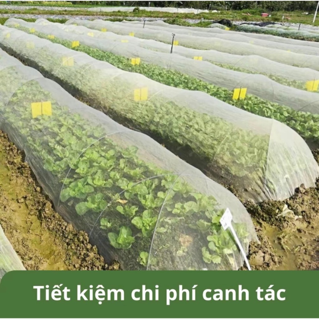 10 Thanh nan sợ thủy tinh φ0,5cm (dài 2m, 2.4m, 3m) làm giàn cây leo khung vòm trồng rau gieo mạ