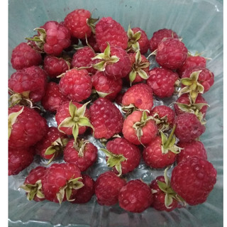 Quả Mâm xôi đỏ ,Phúc bồn tử đỏ tươi Fresh Raspberry  100g