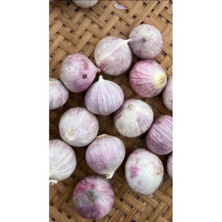 Tỏi cô đơn 200gr