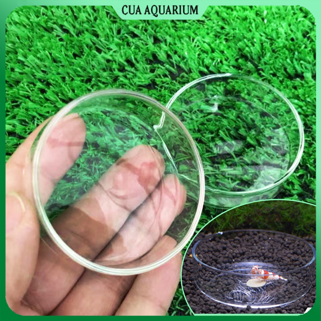 Chén ăn cho tép cảnh bằng thuỷ tinh
