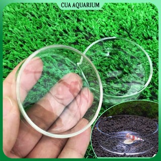 Chén ăn cho tép cảnh bằng thuỷ tinh