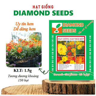 Hạt giống hoa sao nhái kép dễ tạo hạt nhiều màu- cúc cánh bướm nảy mầm 99% dễ nảy mầm, trồng quanh năm