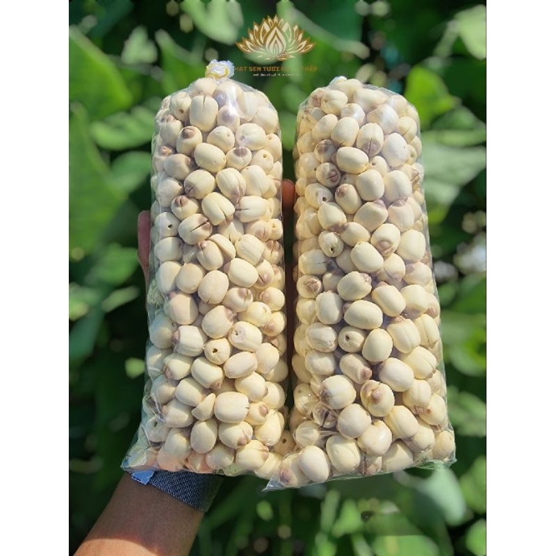500g Hạt sen tươi Đồng Tháp (Tuyển chọn từng hạt, chuẩn hạt sen loại I)