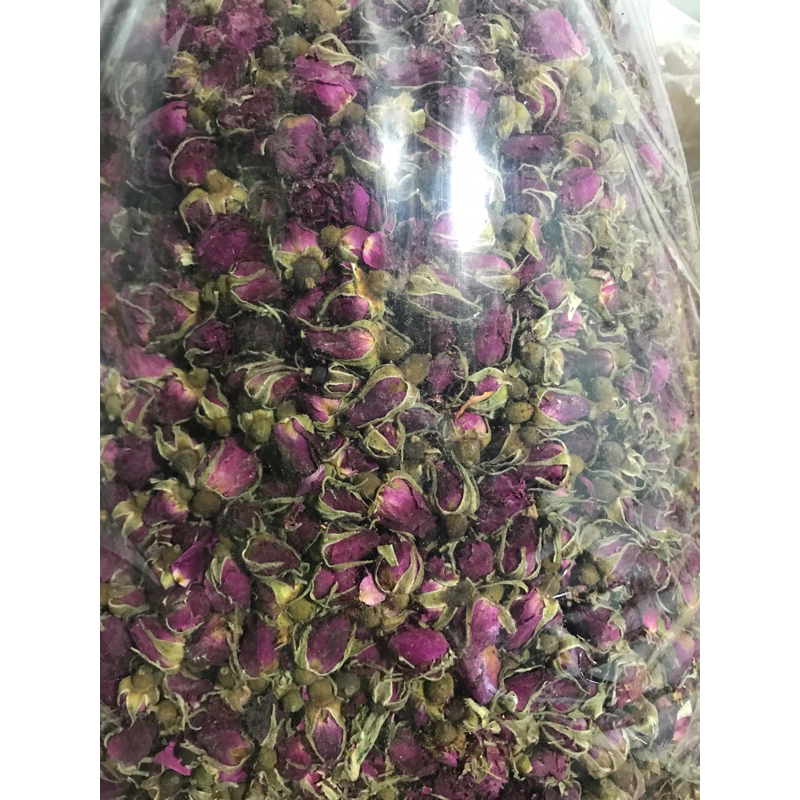 nụ hoa hồng tây tạng