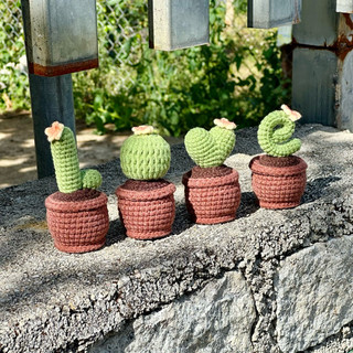 Cây cảnh bằng len dễ thương. Chậu xương rồng mini bằng len. Chậu xương rồng chữ love. decor, quà tặng Ý nghĩa