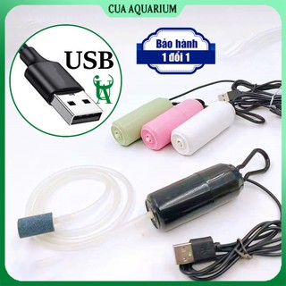 Máy sủi oxy mini USB sục khí bể cá