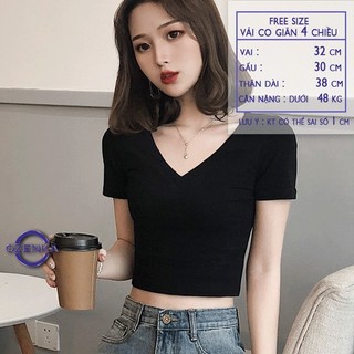 Áo thun croptop cổ tim chữ v A23