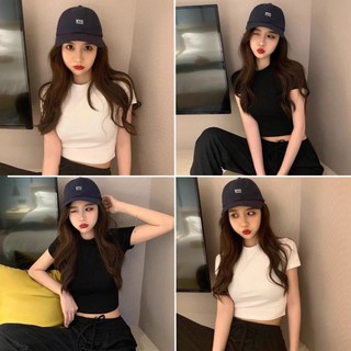 Áo thun trơn big size nữ croptop A30