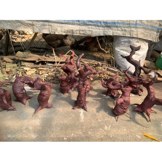 Gốc cây bon sai giả