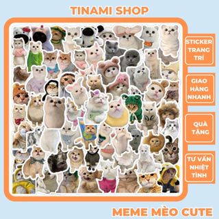 Set 100 sticker chủ đề meme mèo đáng yêu những chú mèo dễ thương hình dán trang trí sổ điện thoại