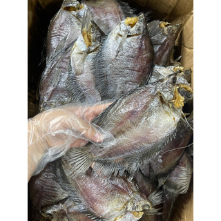 Khô cá sặc bổi U MINH (HÀNG ĐẶC BIỆT SIÊU LẠT sấy bằng lò rất khô) hiệu MÓN QUÀ QUÊ, Đóng gói đi nước ngoài