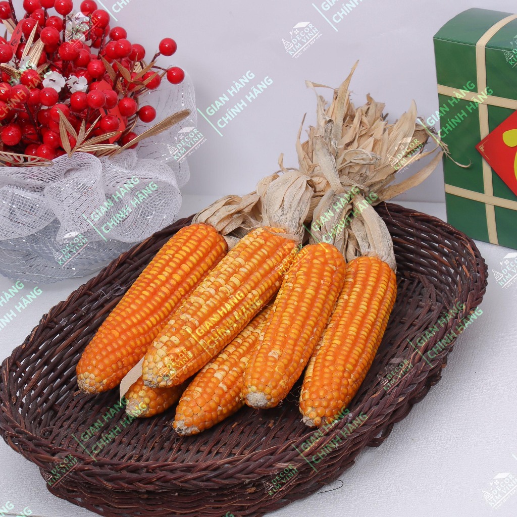 Bắp Ngô Trang Trí Tết Phơi Khô (Giá 1 trái)