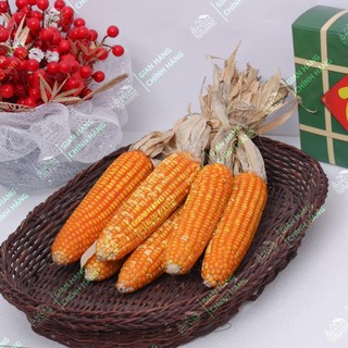 Bắp ngô trang trí tết phơi khô