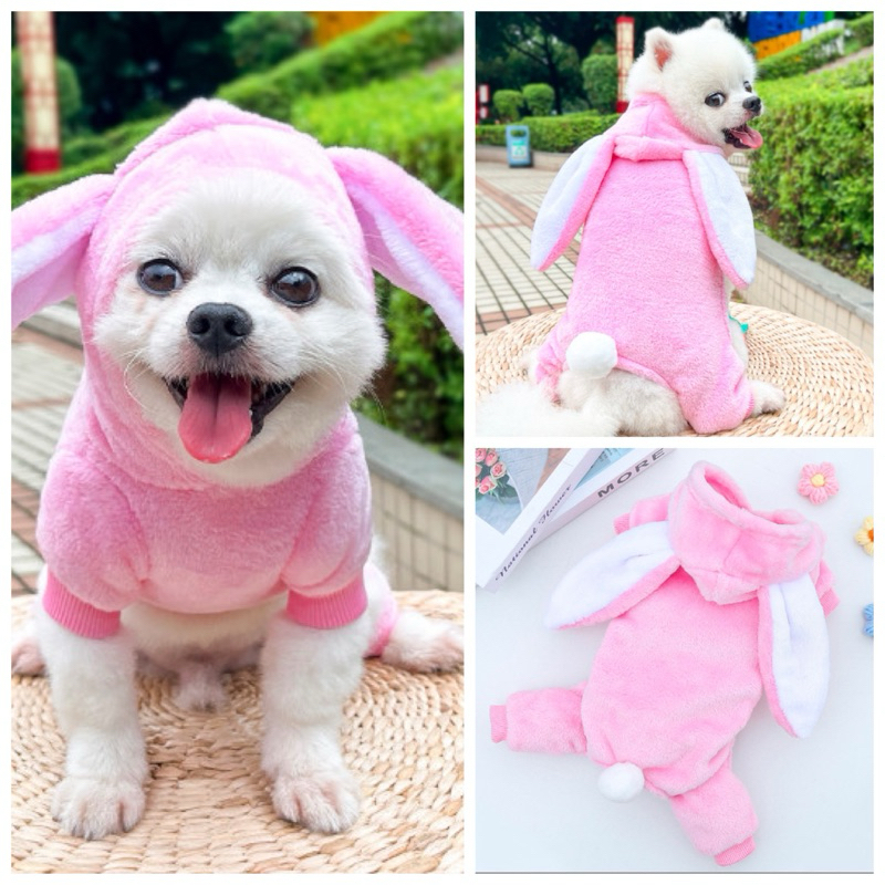 Bộ thỏ bông hồng chó mèo