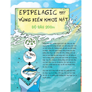Sách - Siêu Nhí Khám Phá Đại Dương