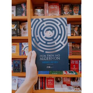 Sách - Hoa trên mộ Algernon (TB 2022) - Nhã Nam
