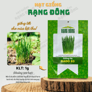 Hạt giống Hẹ Lá Rado 83 (1g~300 hạt) giàu dinh dưỡng, nảy mầm tốt, trồng quanh năm - Hạt giống Rạng Đông