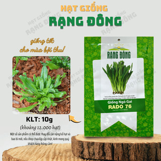 Hạt giống Ngò Gai Rado 76 (10g~12000 hạt) (Rau Thơm Mùi Tàu) sinh trưởng khỏe, trồng quanh năm - Hạt giống Rạng Đông