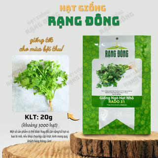 Hạt giống Ngò Hạt Nhỏ Rado 31 (20g~3000 hạt) - Ngò Rí dễ chăm, kháng bệnh tốt, trồng quanh năm - Hạt giống Rạng Đông
