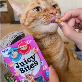 Bánh Thưởng Snack Cho Mèo Ciao Inaba Juicy Bites Me-o- CHỌN NHIỀU LOẠI