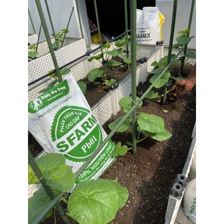 Phân trùn quế phân bò cao cấp Sfarm 5kg nguyên chất, phân hữu cơ tốt cho cây trồng
