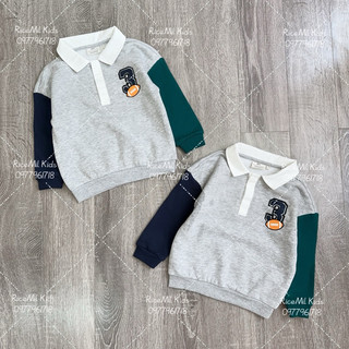 Áo nỉ sơ mi junior xuất dư xịn