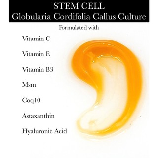 Serum TẾ BÀO GỐC và 19 Tinh Chất