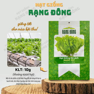 Hạt giống Xà Lách Rado 357 (10g~6000 hạt) giống Xà Lách Dún trồng quanh năm, nhanh thu hoạch - Hạt giống Rạng Đông
