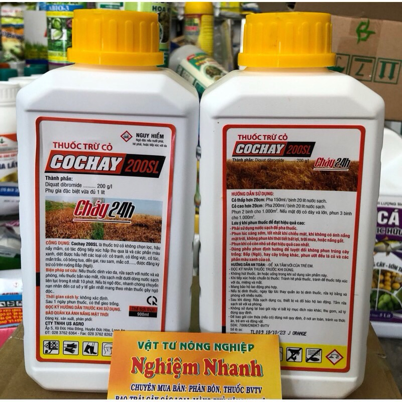 24 giờ nắp vàng (10 chai)