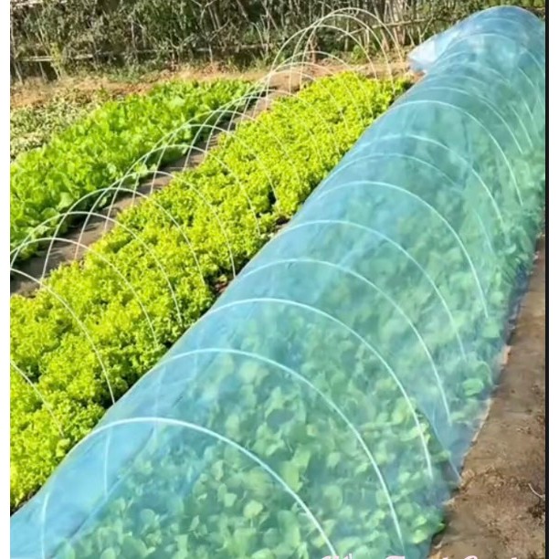Khung vòm phủ nilong, nhà lưới mini, thanh nan sợi thủy tinh giúp phân luống ngăn côn trùng, dập rau, thay thép bọc nhựa