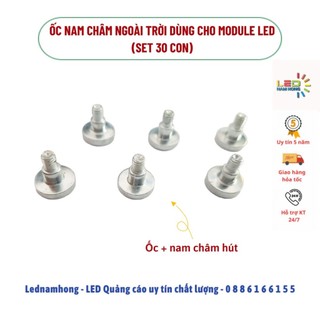 Ốc nam châm ngoài trời (Set 30 con)