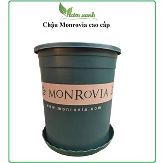 1.5GL- (Nhập Khẩu Trung) Chậu Monrovia chất nhựa dẻo, bền đẹp chuyên dùng trồng hoa hồng, cây cảnh