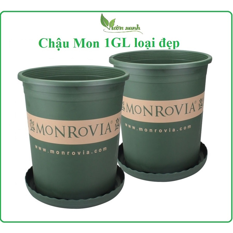 1GL-(Nhập Khẩu Trung) Chậu Monrovia dáng tròn trồng hoa hồng, cây cảnh, nhựa dẻo, bền đẹp (HÀNG NHẬP)