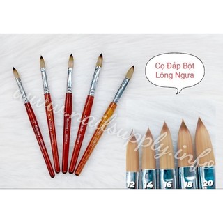 Cọ bút đắp bột cao cấp số 12, 14, 16, 18 ( Super Linda Kolinsky England)