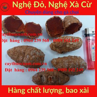 Nghệ Đỏ (Nghệ Xà Cừ),100gr nguyên củ, hàng nhà làm, chuyên dùng cho gà đá, có bán sỉ gíá tốt