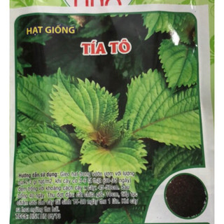 Hạt giống Tía Tô 🌱