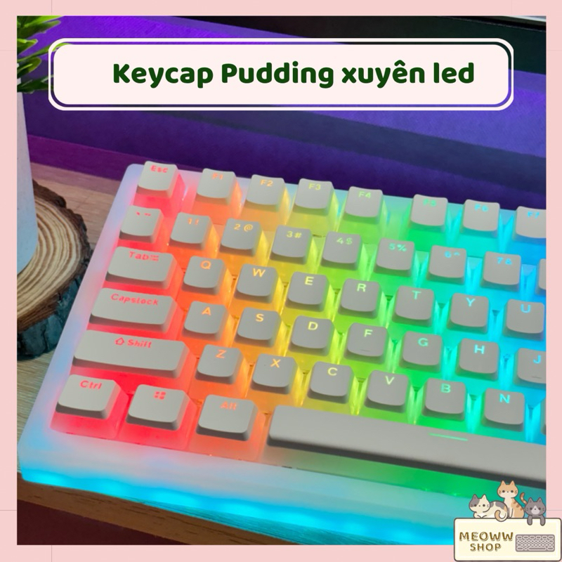 Keycap Pudding xuyên led | PBT double shot | Profile Oem giá rẻ